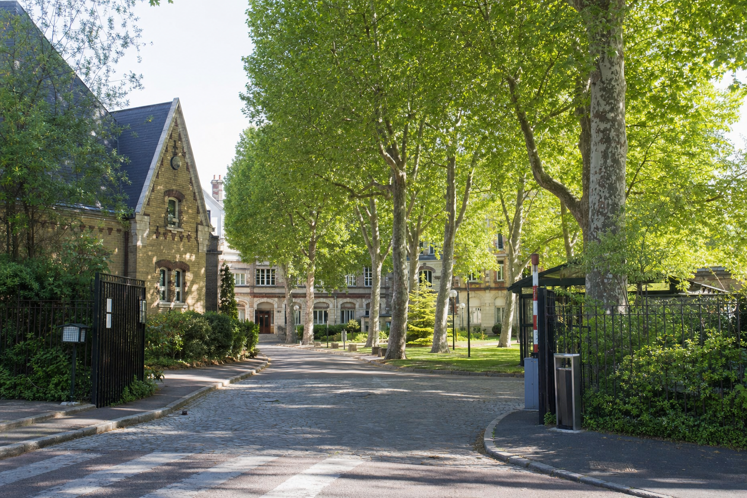 L’école vétérinaire de Maisons-Alfort réunit études et soins